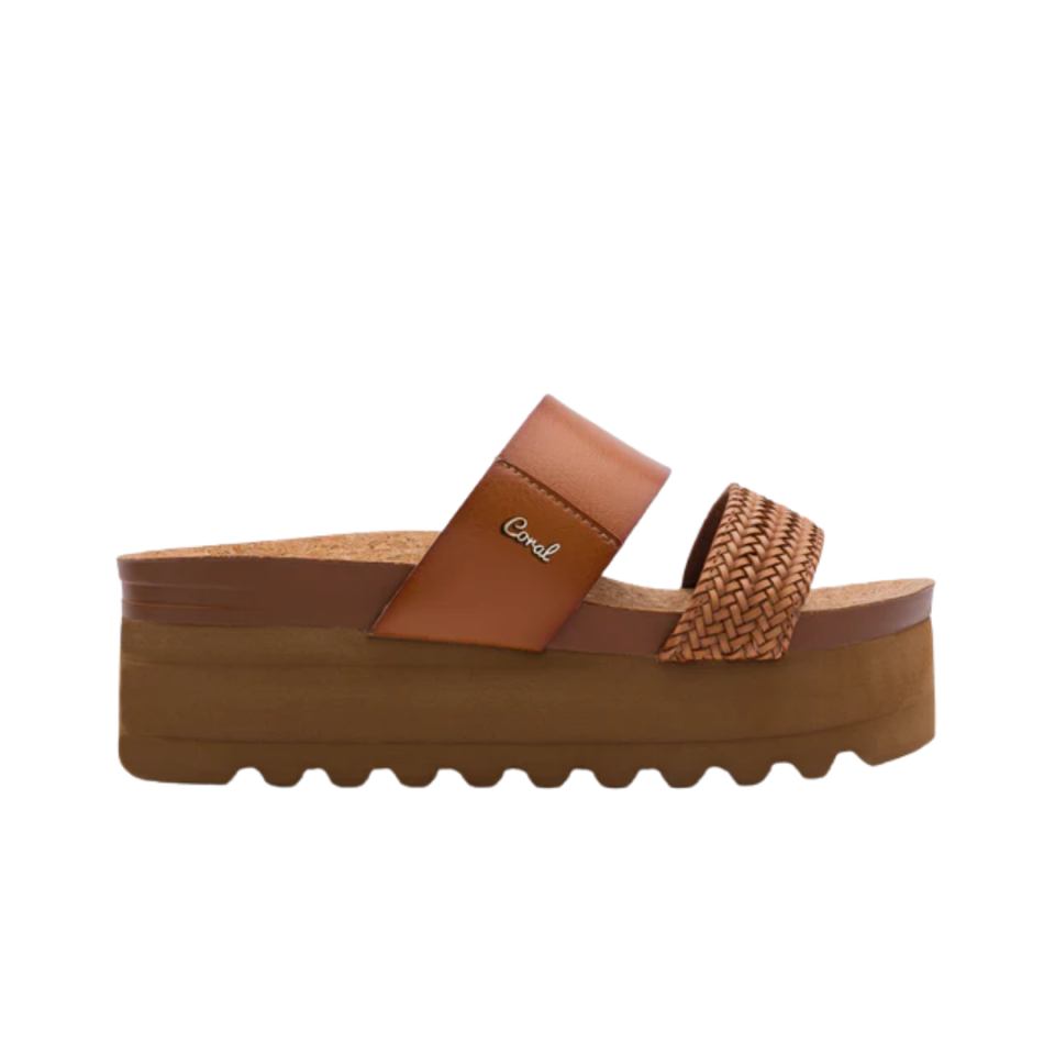 7128242  CAMEL ARBOR CORAL