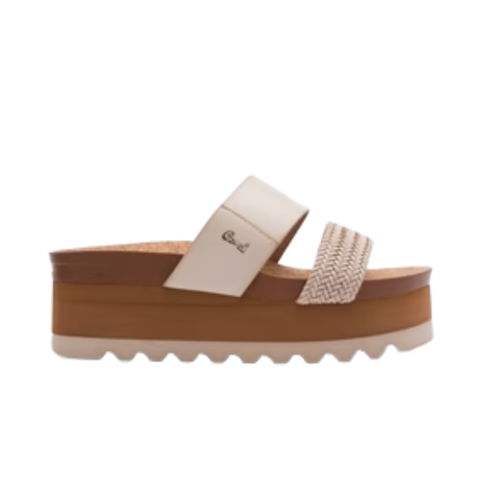 7128243  CREAM ARBOR CORAL