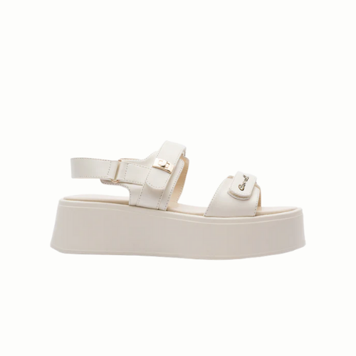 7127842 WHITE MIRAGE CORAL