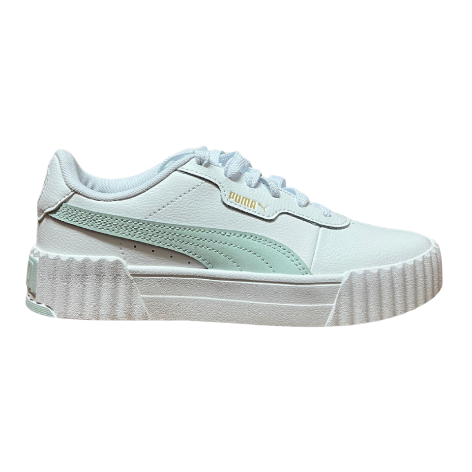 129441  400365 12 CARINA 3 PUMA